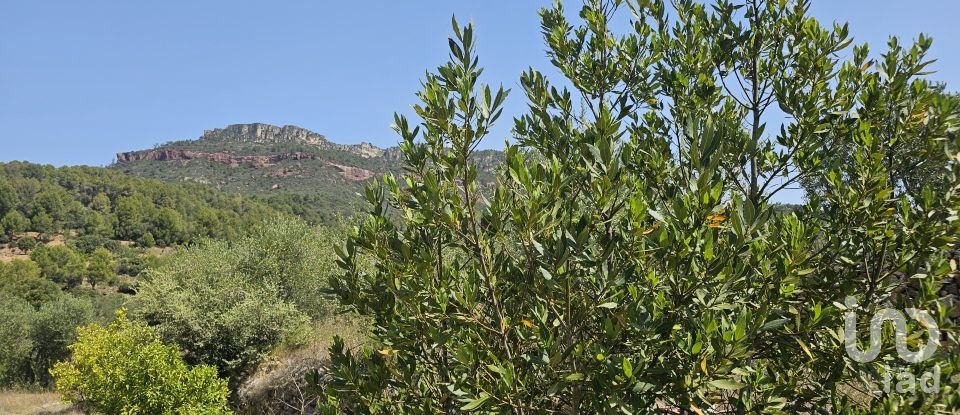 Terrain agricole de 30 823 m² à Alforja (43365)