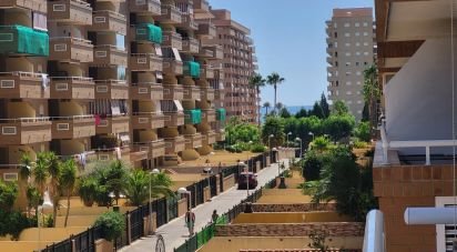 Apartment 3 bedrooms of 79 m² in Oropesa/Oropesa del Mar (12594)