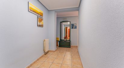 Apartment 4 bedrooms of 140 m² in Elx/Elche (03201)