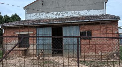 Terreny de 7.359 m² a Castrocontrigo (24735)