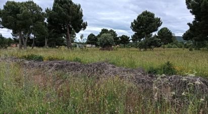 Land of 6,424 m² in Castrocontrigo (24735)