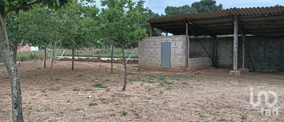 Terreno de 6.424 m² en Castrocontrigo (24735)