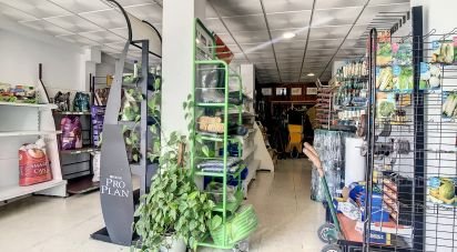 Tienda / local comercial de 123 m² en Tarifa (11380)