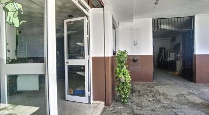 Tienda / local comercial de 123 m² en Tarifa (11380)