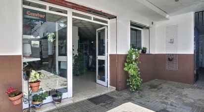 Shop / premises commercial of 123 m² in Tarifa (11380)