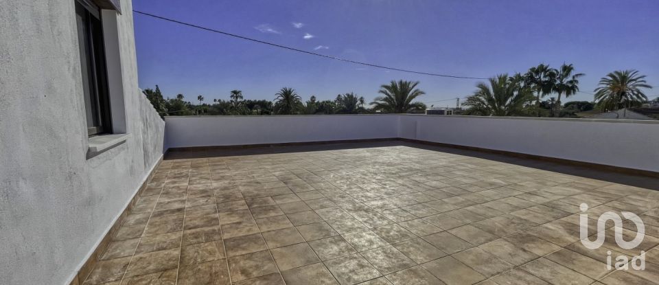 House 5 bedrooms of 315 m² in Elx/Elche (03139)