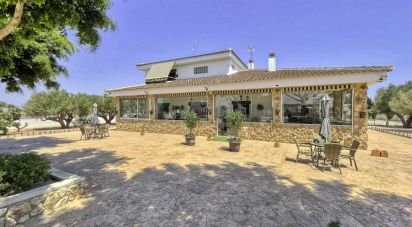 House 6 bedrooms of 350 m² in Dolores (03150)