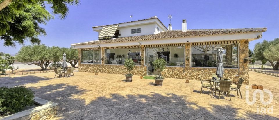 House 6 bedrooms of 350 m² in Dolores (03150)