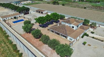 House 6 bedrooms of 350 m² in Dolores (03150)