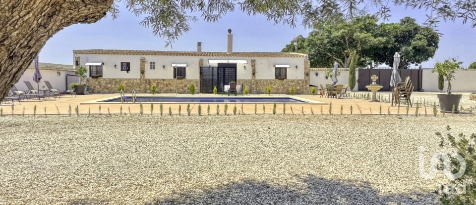 House 6 bedrooms of 350 m² in Dolores (03150)