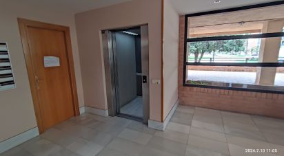 Appartement 4 chambres de 260 m² à Castellón de la Plana/Castelló de la Plana (12005)