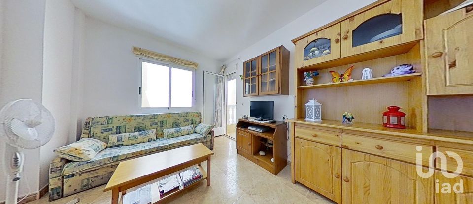 Apartment 1 bedroom of 48 m² in Torrevieja (03181)