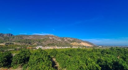 Land of 5,165 m² in Adsubia (03786)