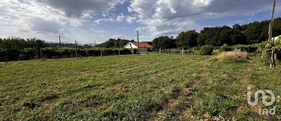 Land of 505 m² in Adina (36979)