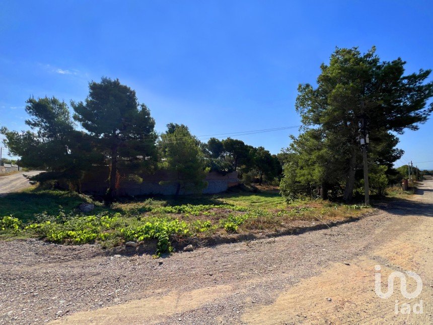 Land of 926 m² in Cabra del Camp (43811)