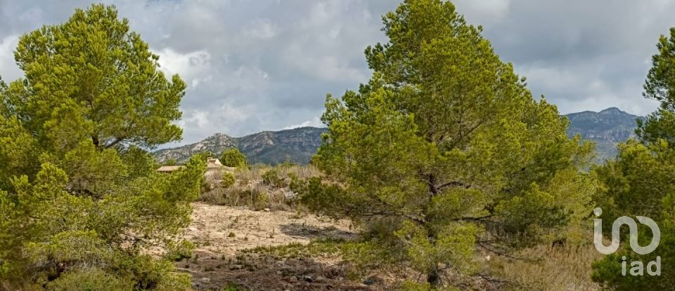 Terreno de 3.600 m² en L'Ametlla de Mar (43860)