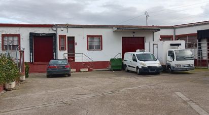 Botiga / Local comercial de 708 m² a La Maya (37780)