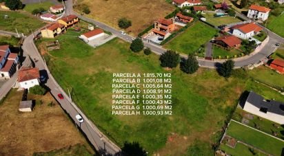 Land of 1,001 m² in San Roman de Candamo (33828)