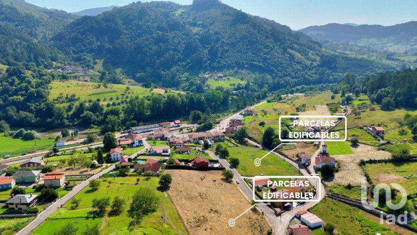 Land of 1,001 m² in San Roman de Candamo (33828)