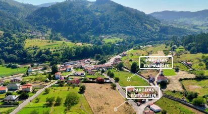 Land of 1,001 m² in San Roman de Candamo (33828)