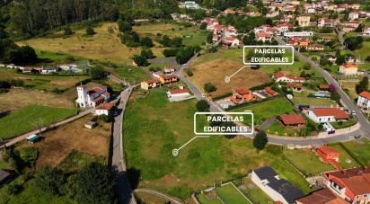 Land of 1,001 m² in San Roman de Candamo (33828)