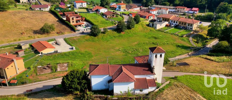 Land of 1,001 m² in San Roman de Candamo (33828)