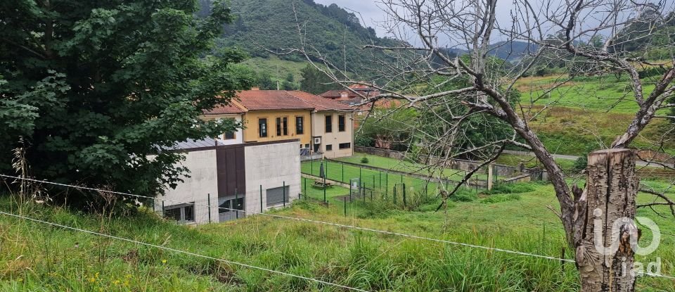 Land of 1,001 m² in San Roman de Candamo (33828)