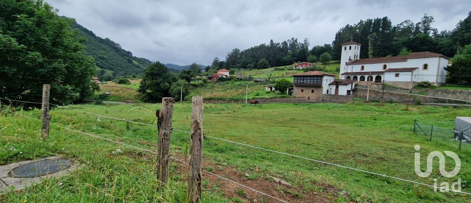 Land of 1,001 m² in San Roman de Candamo (33828)