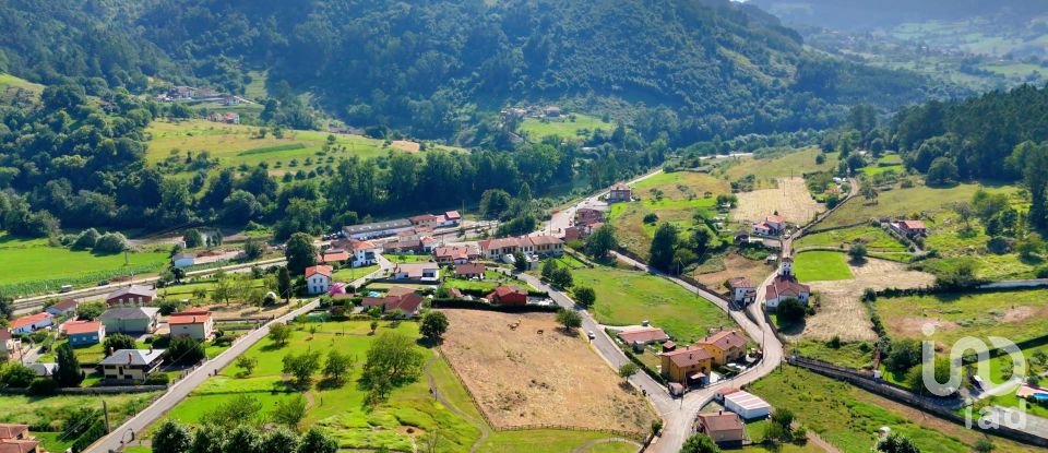 Land of 1,001 m² in San Roman de Candamo (33828)