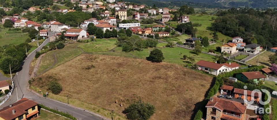 Land of 1,001 m² in San Roman de Candamo (33828)