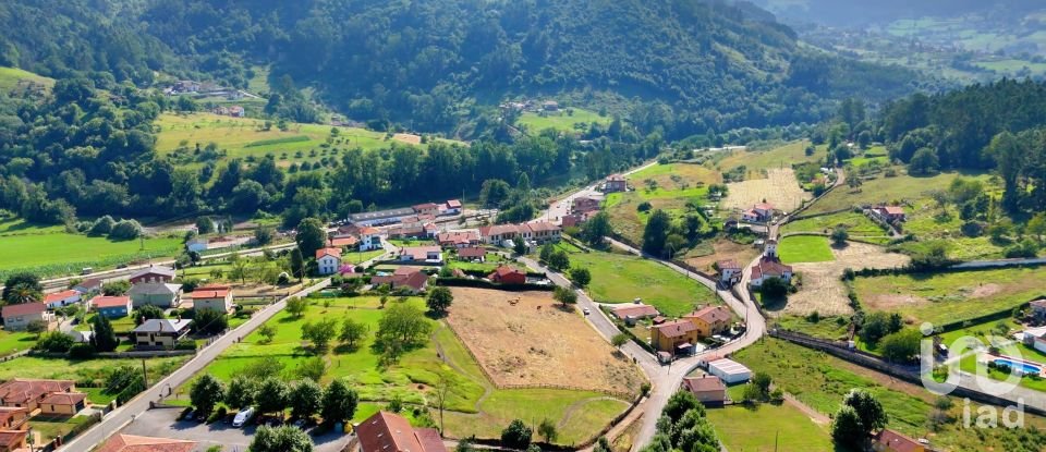 Land of 1,001 m² in San Roman de Candamo (33828)