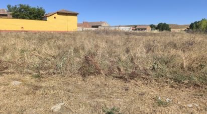 Land of 3,142 m² in Pajares de los Oteros (24209)