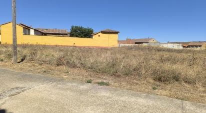 Land of 3,142 m² in Pajares de los Oteros (24209)