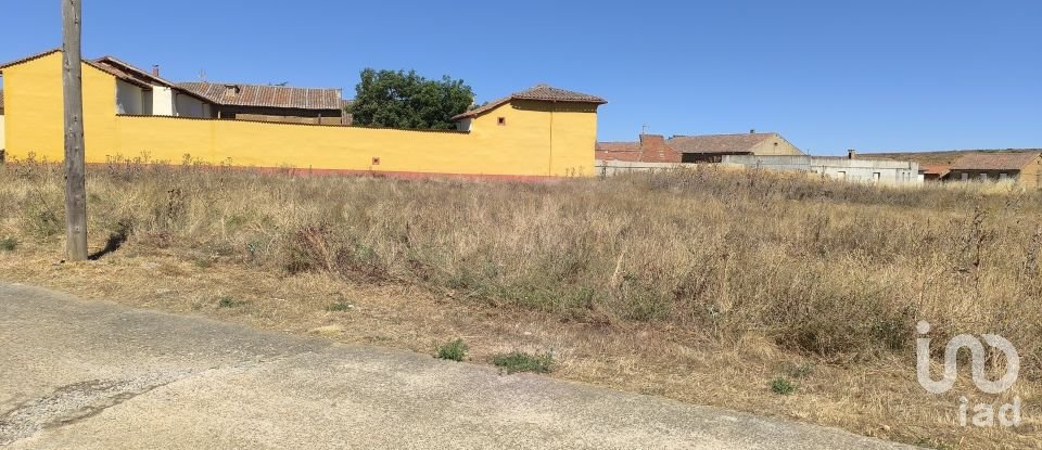 Land of 3,142 m² in Pajares de los Oteros (24209)