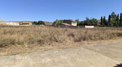 Land of 3,142 m² in Pajares de los Oteros (24209)