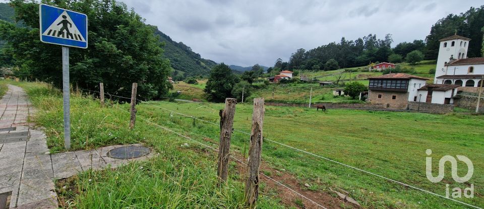 Terreno de 1.056 m² en San Roman de Candamo (33828)