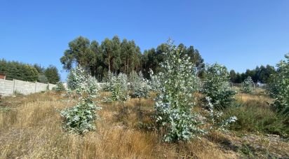 Terreno de 1.047 m² en Caleiro (36629)