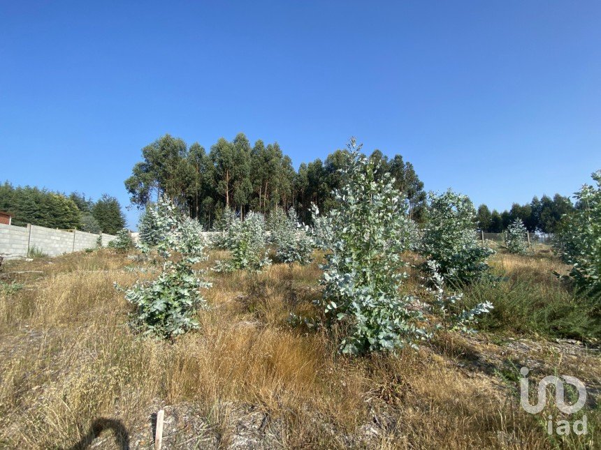 Land of 1,629 m² in Caleiro (36629)