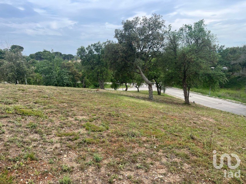 Terreno de 1.646 m² en Bescanó (17162)