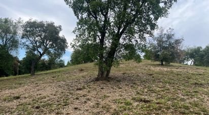 Terrain de 1 646 m² à Bescanó (17162)