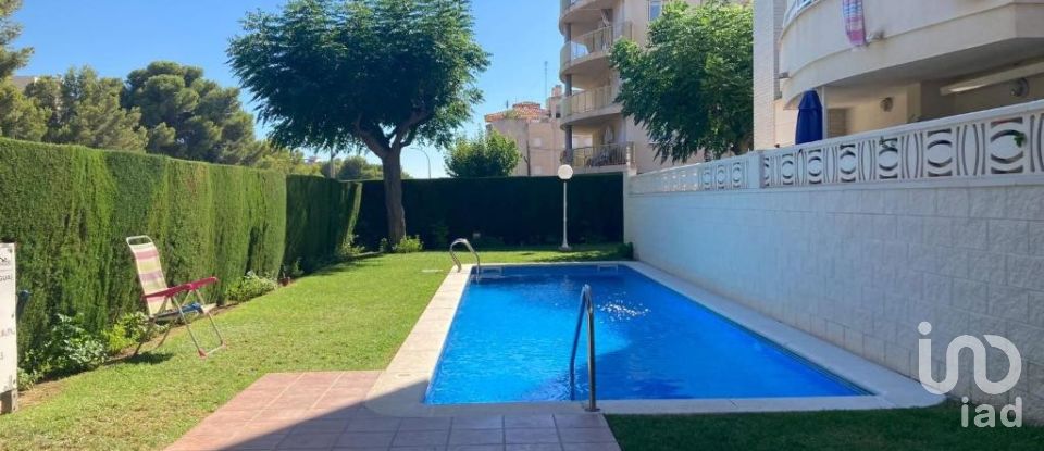 Apartment 2 bedrooms of 60 m² in Miami-Platja (43892)