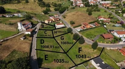 Terrain de 1 005 m² à San Roman de Candamo (33828)