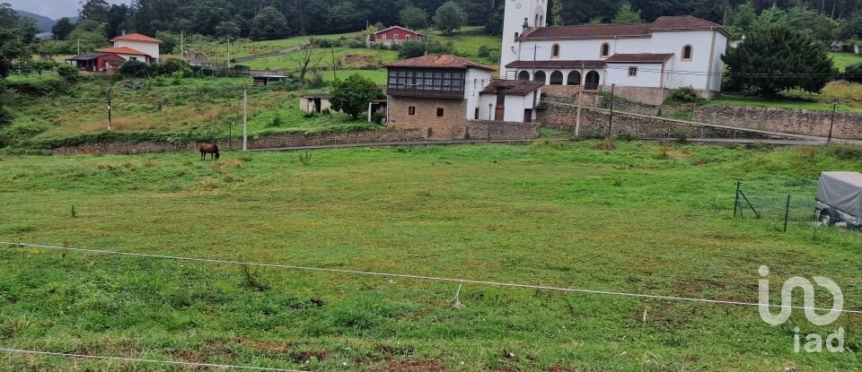 Terrain de 1 005 m² à San Roman de Candamo (33828)