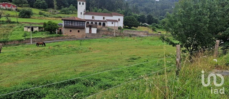 Land of 1,005 m² in San Roman de Candamo (33828)