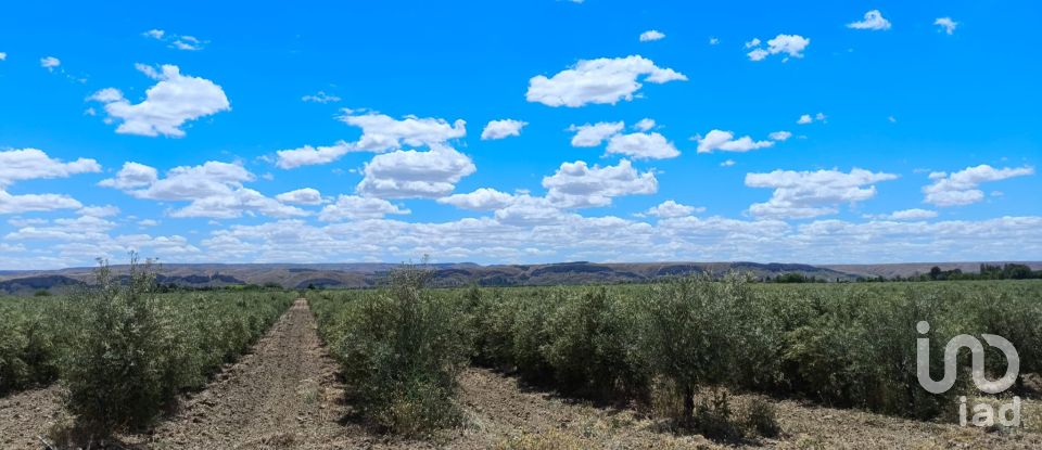 Terreno de 800 m² en Urbanización Balcon del Tajo (28380)