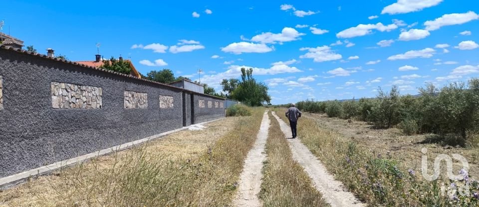 Terreno de 800 m² en Urbanización Balcon del Tajo (28380)