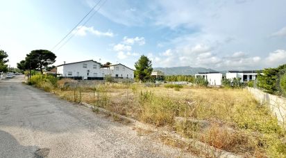 Terreno de 802 m² en L'Ametlla de Mar (43860)