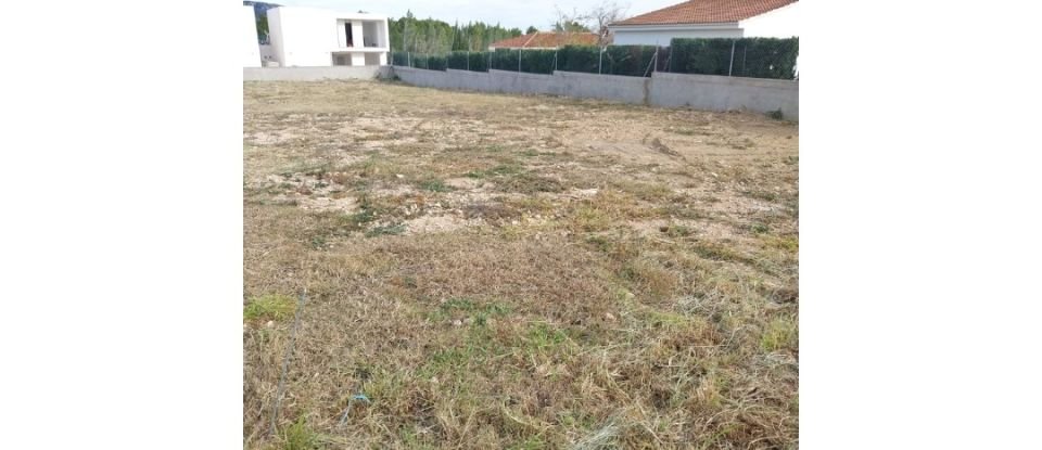 Land of 802 m² in L'Ametlla de Mar (43860)