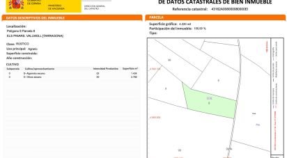 Terra de 4.220 m² a Vallmoll (43144)