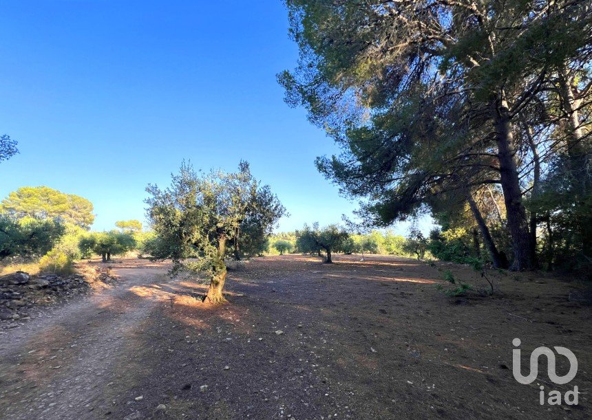 Terrain de 4 220 m² à Vallmoll (43144)